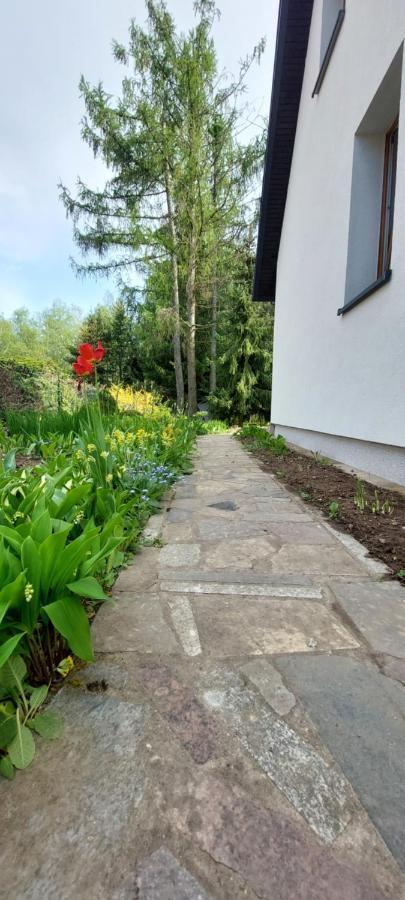 Domek Letniskowy Na Mazurach Giżycko Buitenkant foto